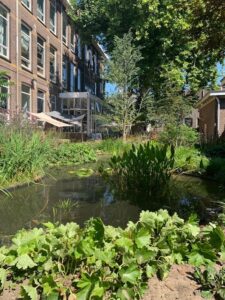 de kok en de tuinman
