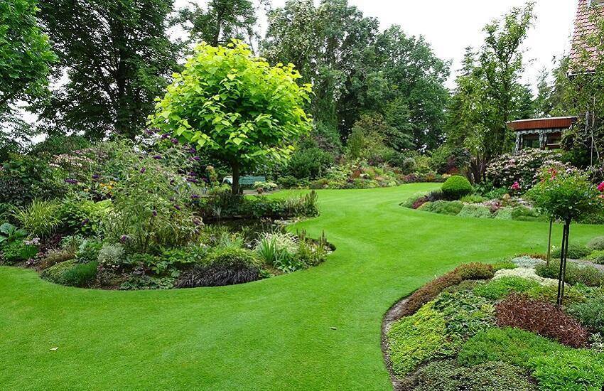 Stekketuin Poldertuin vol geur