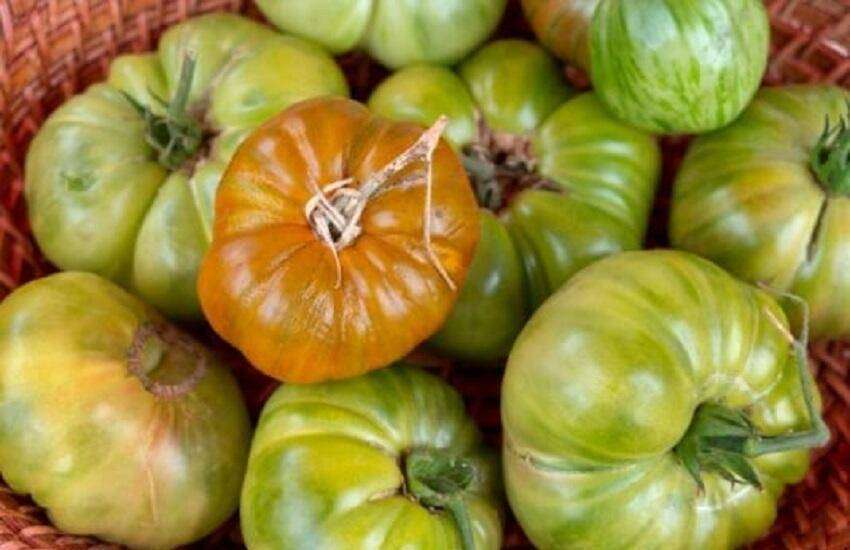 Herfstdagen slot zuylen