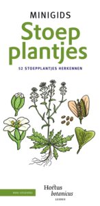 minigids stoepplantjes
