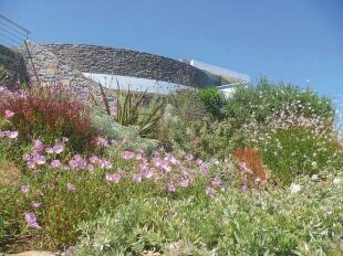 Botanische les op Kreta De Tuin in vier seizoenen