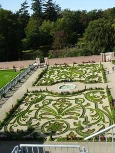 Betterbuxus