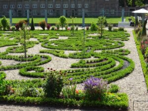 Betterbuxus