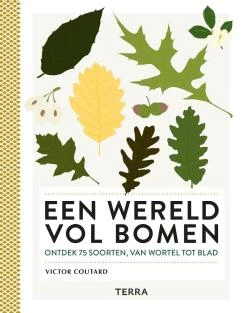 Een wereld vol bomen 