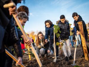 Bomen planten door het IVN