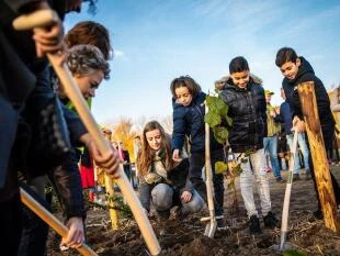 Bomen planten door het IVN