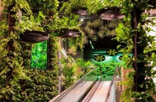 Green Fortune - Donker Interieur