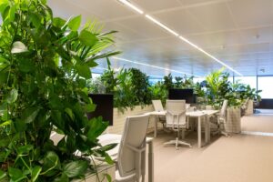 Interieurbeplanting De Klerk B.V.
