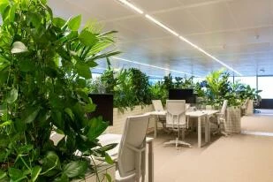 Interieurbeplanting De Klerk B.V.