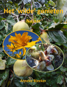 HET WILDE GENIETEN NAJAAR