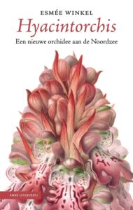Hyacintorchis Esmee Winkel