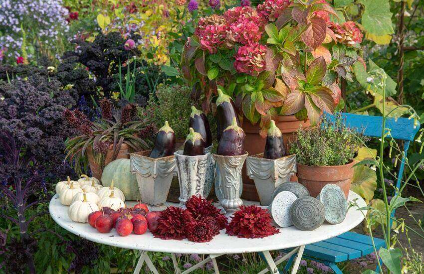 Oogstfair De Boschhoeve