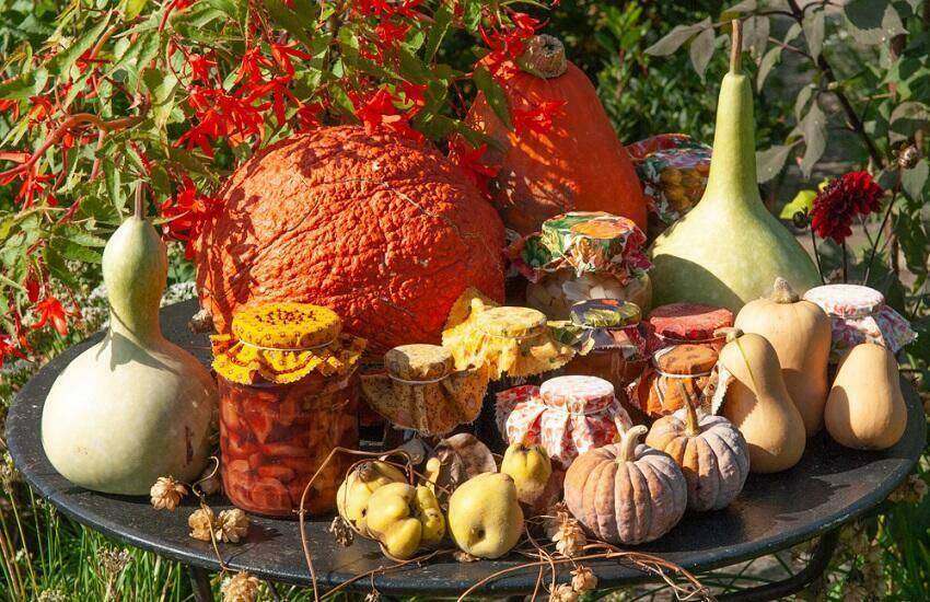 Oogstfair De Boschhoeve
