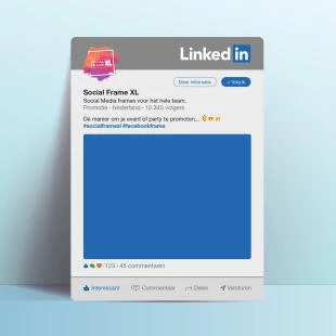 LinkedIn frame