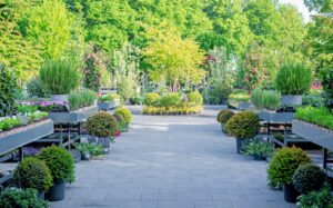 Tuincentrum Huiting fotografie┬® KLEUR EN GROEN