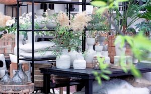 Tuincentrum Huiting fotografie┬® KLEUR EN GROEN