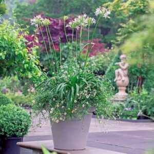 Tuincentrum Huiting fotografie┬® KLEUR EN GROEN