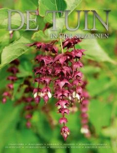 De Tuin in vier seizoenen 36 Herfstnummer