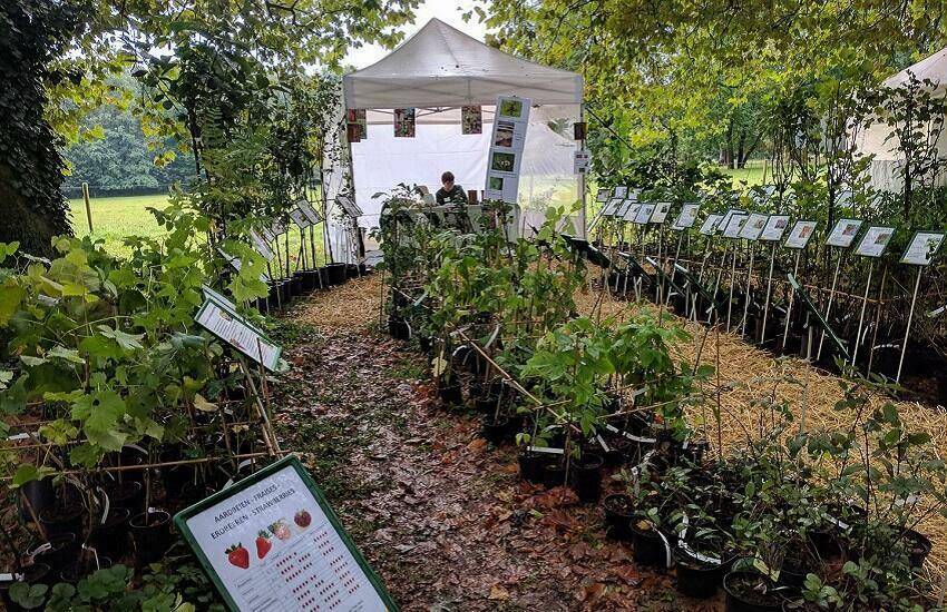 Hex plantendagen