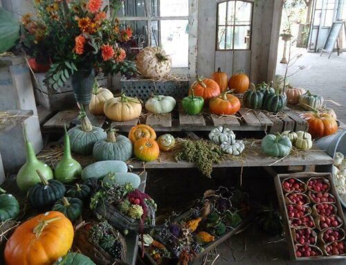 Herfstfair Kwekerij van der Velde