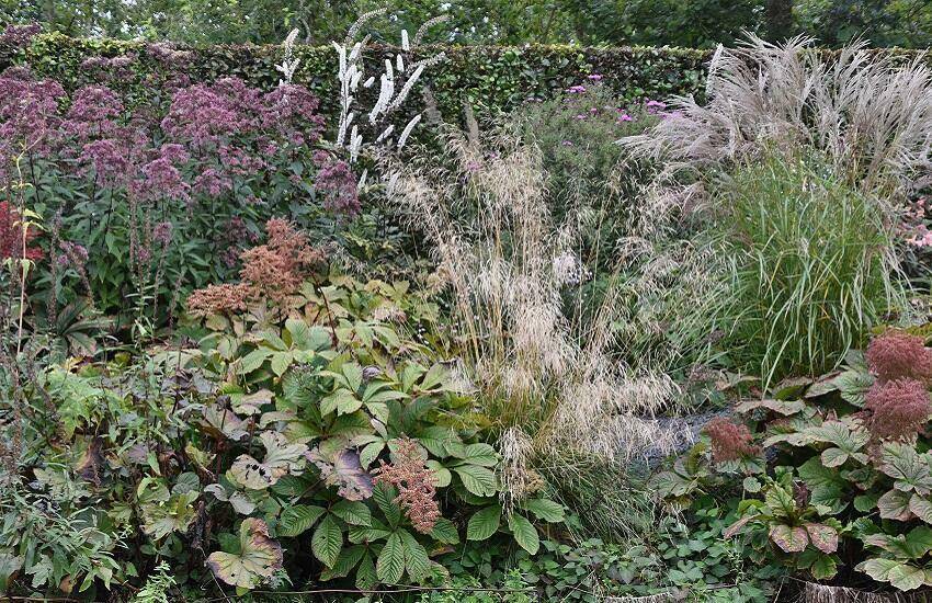 Het Tuinpad op Herfst
