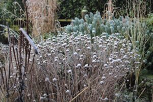 Tuin De Vorsthof