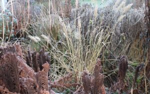 Tuin De Vorsthof