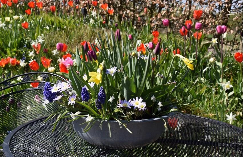 Tuinenmarathons Het Tuinpad Op