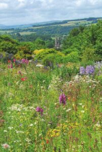 The Garden House vergezicht