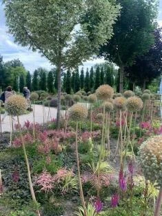 Floriade 2022