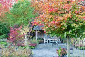 Tuincentrum Huiting Herfst