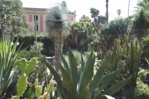 Botanische tuin Napels - De Tuin in vier seizoenen 40