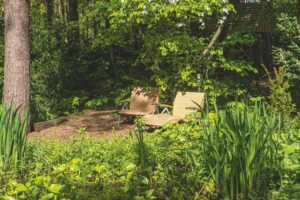Schaduwtuin Engelandsweg Wezep - De Tuin in vier seizoenen lente 2023