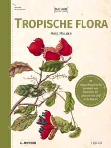 Tropische flora - Natuur aan de muur - De Tuin in vier seizoenen