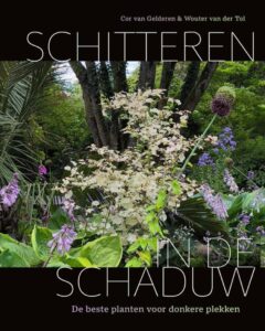 Schitteren in de schaduw - De Tuin in vier seizoenen