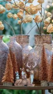Huiting Wintersfeerdag - De Tuin in vier seizoenen