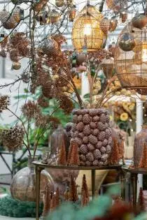 Huiting Wintersfeerdag - De Tuin in vier seizoenen