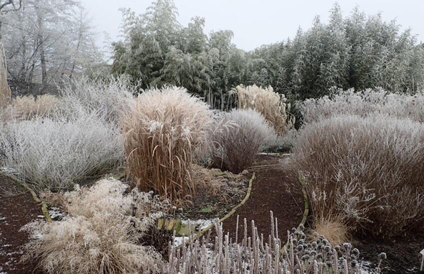 Winter Grassenerf Boskoop Wintertaferelen - De Tuin in vier seizoenen