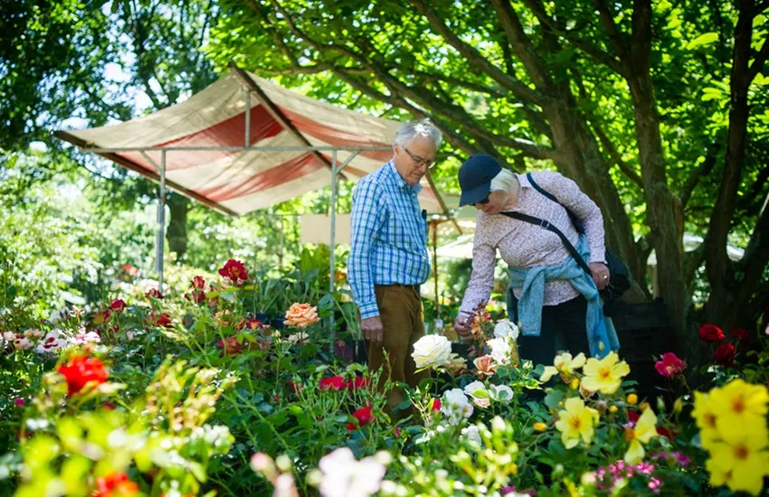Trompenburg Plantenmarkt else loof fotografie - De Tuin in vier seizoenen