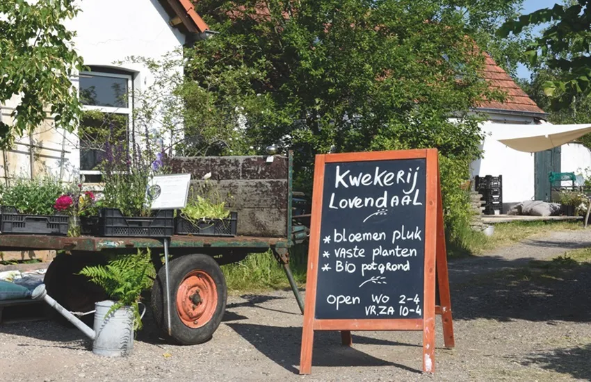 Kwekerij Lovendaal - De Tuin in vier seizoenen 46 lente 2024