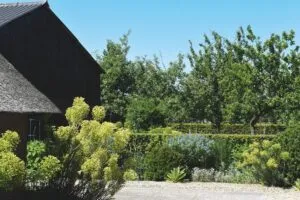 Erf Klein Rassert - De Tuin in vier seizoenen 47 - zomer 2024