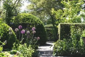 Erf Klein Rassert - De Tuin in vier seizoenen 47 - zomer 2024