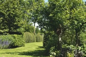 Erf Klein Rassert - De Tuin in vier seizoenen 47 - zomer 2024