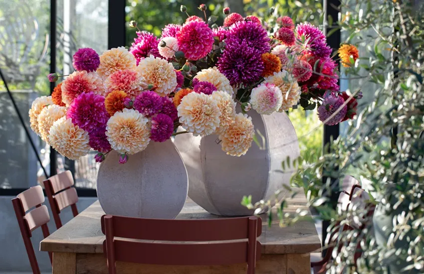 Huiting Tuincentrum - De Tuin in vier seizoenen