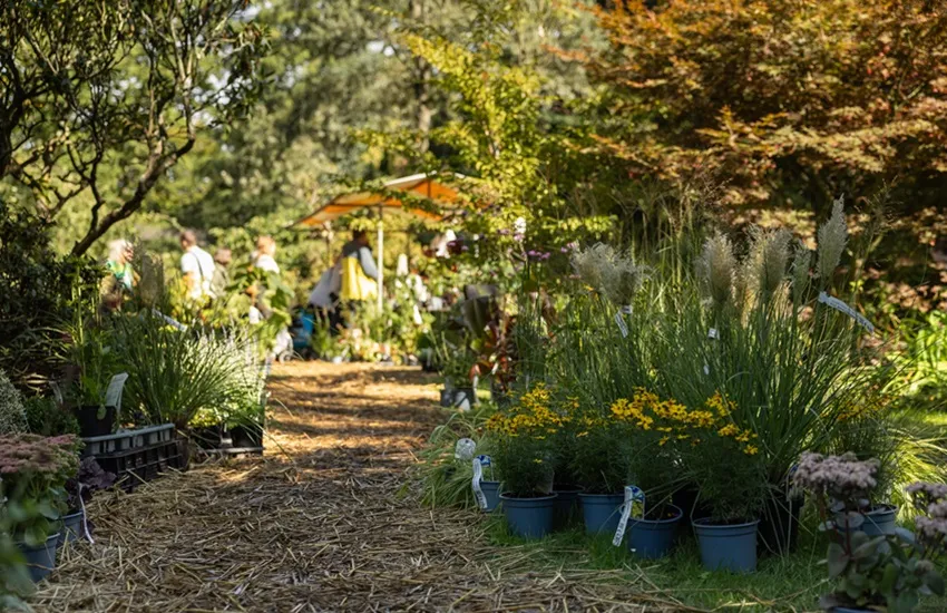 Plantenmarkt Trompenburg - De Tuin in vier seizoenen