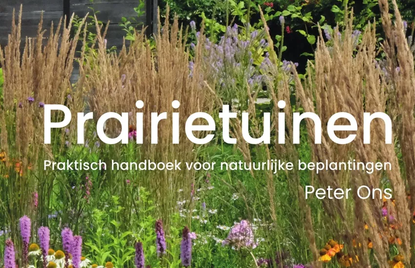 Prairietuinen van Peter ons - Forte Groen - De Tuin in vier seizoenen