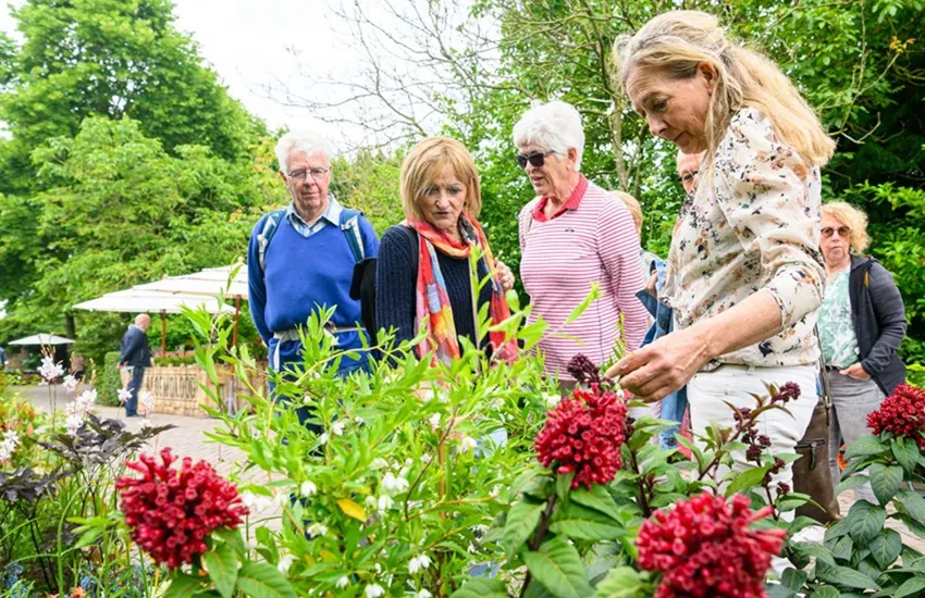 Tuingeluk met Planten - Appeltern - De Tuin in vier seizoenen