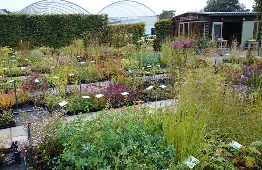 Kijken bij de kweker - De Tuin in vier seizoenen