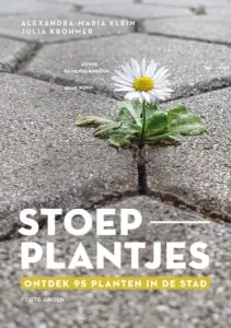 Stoepplantjes - Forte Groen - De Tuin in vier seizoenen 