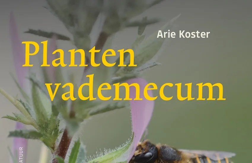Plantenvademecum - De Tuin in vier seizoenen - Welkomstgeschenk